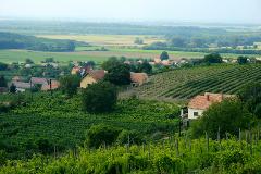 Private Wine Day Tour (Any Region)